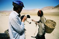 A Tibetan shepherd walks away with a pen, while Edwin is left holding a cute lamb. They are surrounded by barren hills with little food for grazing.
