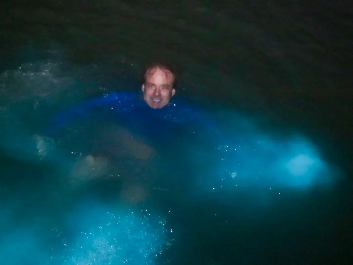 Swimming in dinoflagellates