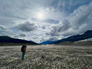 Hiking over dryas towards Nizina Lake