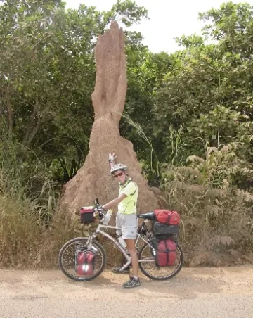 Pat and termite mount