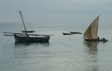 Dhow sailing vessels